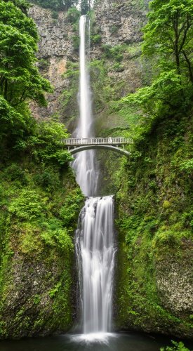 about-us-02 About Us 02